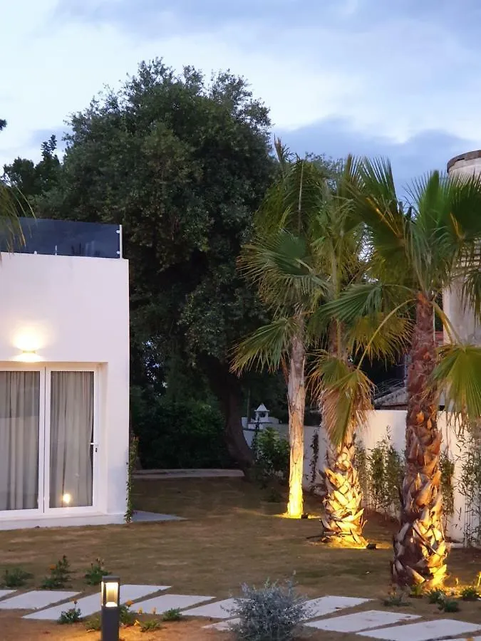 Amazing Villa By The Sea Benalmadena Arroyo De La Miel Spain
